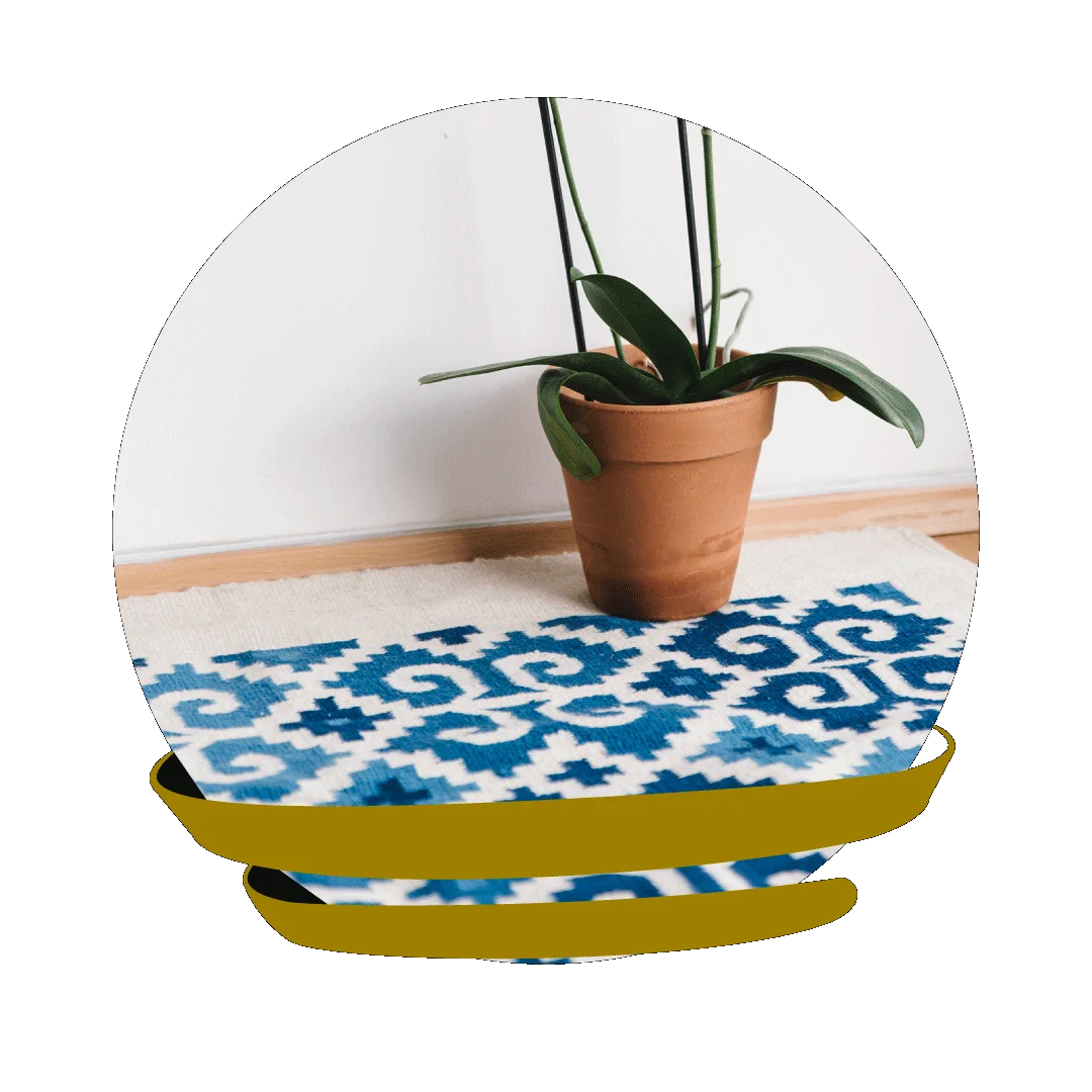 Discover warmth and comfort with carpets.