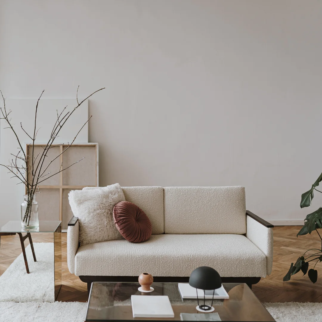 Pet-Friendly Living Room