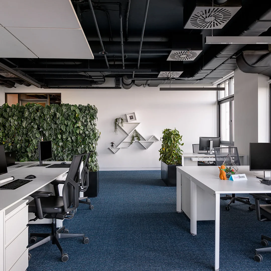 Image of various patterns on a carpet in an office decor