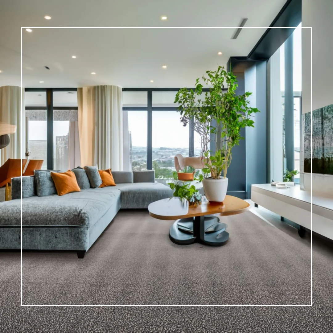 A master suite adorned with a luxurious velvet wall-to-wall carpet.